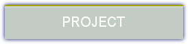 Project