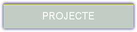 Projecte